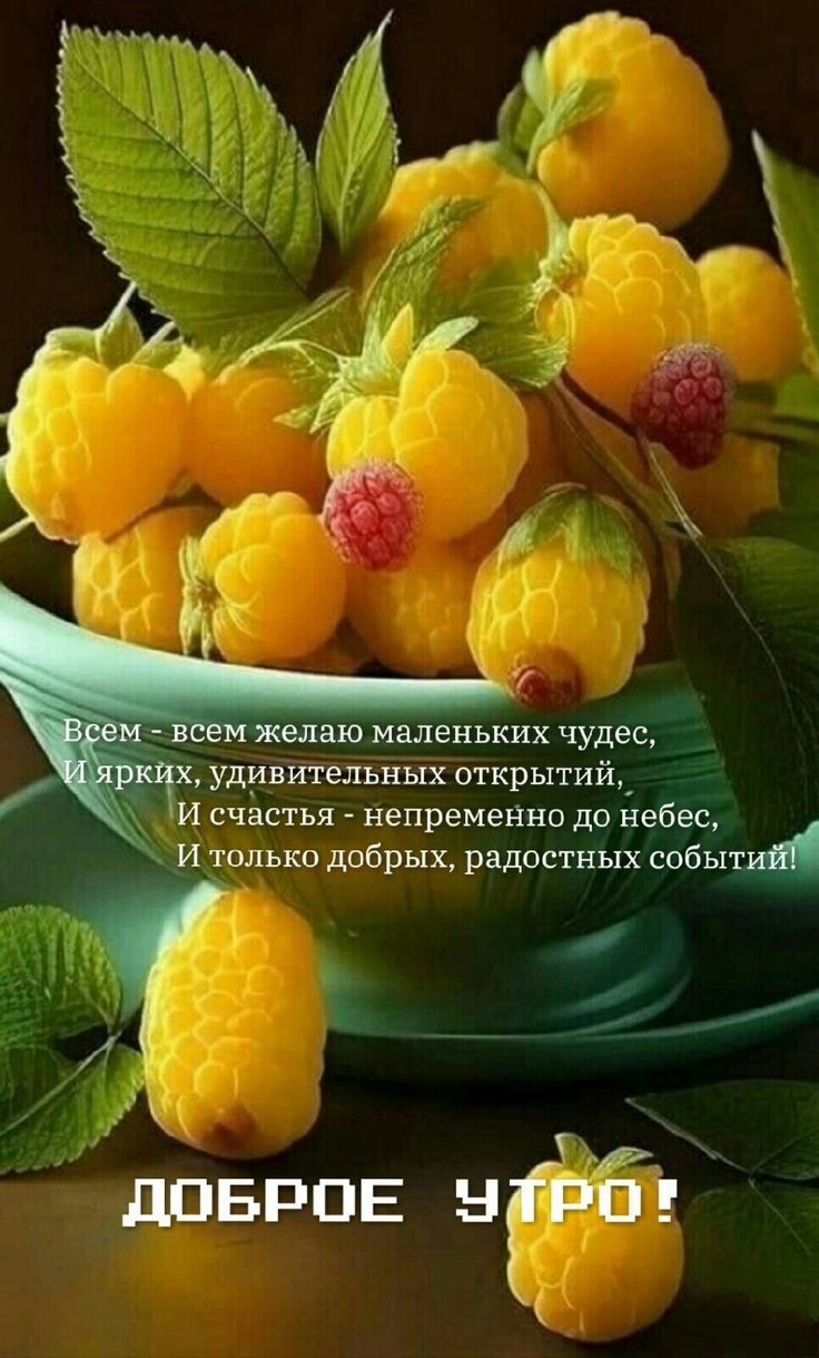Всем - всем желаю маленьких чудес, И ярких, удивительных открытий, И счастья - непременно до небес, И только добрых, радостных событий! ДОБРОЕ УТРО!