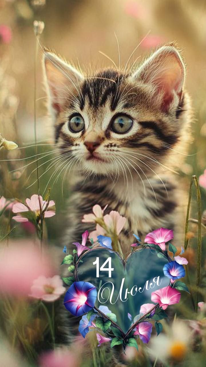 14 Июля