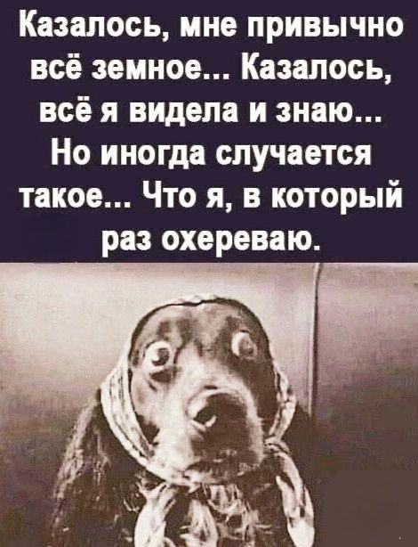 Казалось, мне привычно всё земное... Казалось, всё я видела и знаю... Но иногда случается такое... Что я, в который раз охереваю.