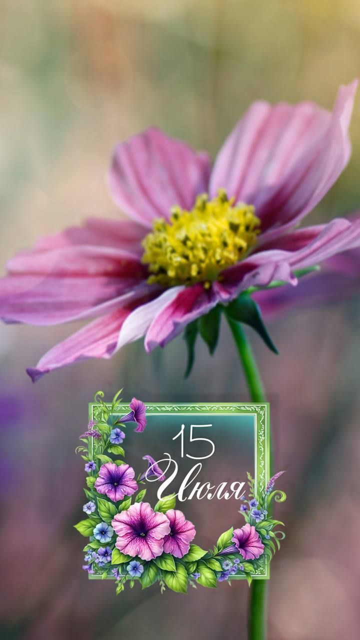 15 Июля
