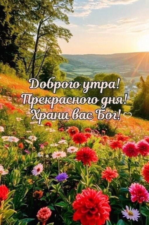 Доброе утро! Прекрасного дня! Храни вас Бог!