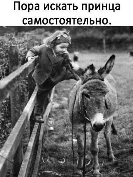 Пора искать принца самостоятельно.