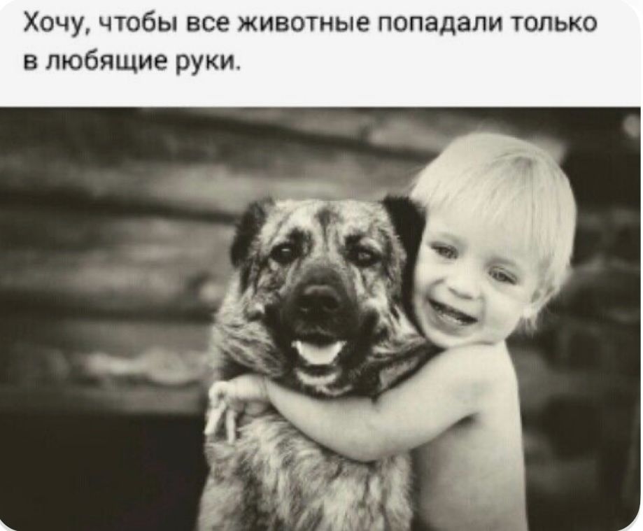 Хочу, чтобы все животные попадали только в любящие руки.