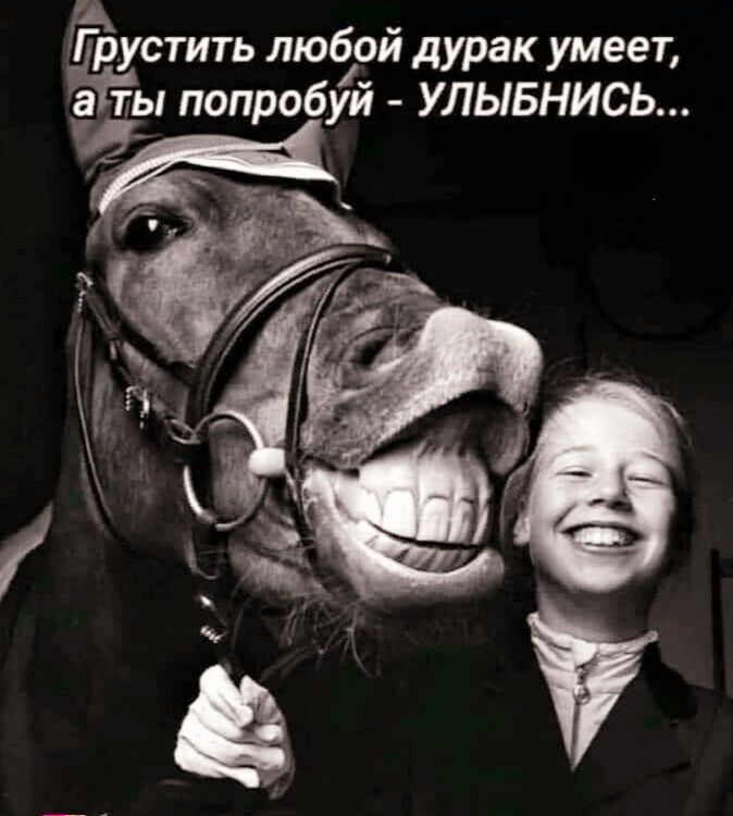 Грустить любой дурак умеет, а ты попробуй - УЛЫБНИСЬ...