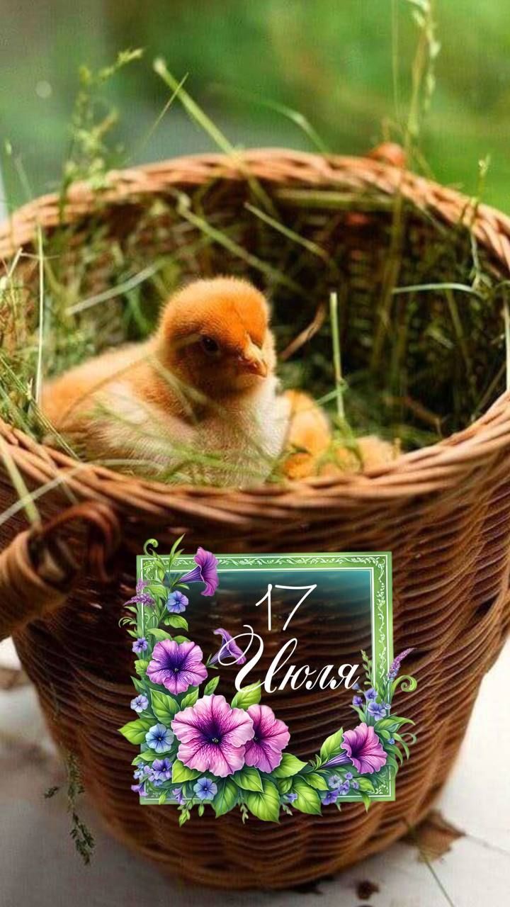 17 Июля