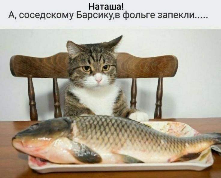 Наташа! А, соседскому Барсику, в фольге запекли.....