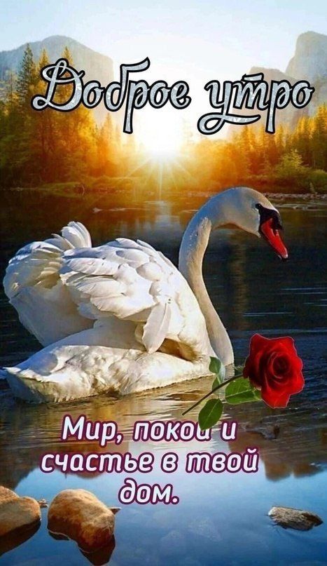 Доброе утро Мир, покой и счастье в твой дом.