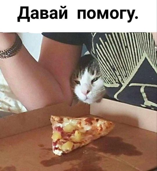 Давай помогу.