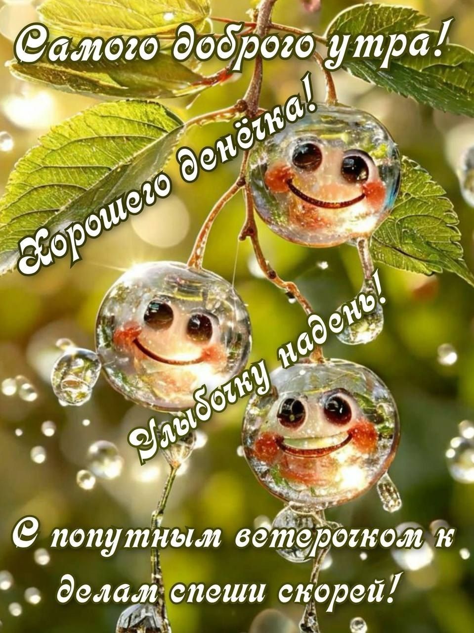Самого доброго утра! Хорошего денёчка! Улыбку надень! С попутным ветерком к делам спеши скорее!