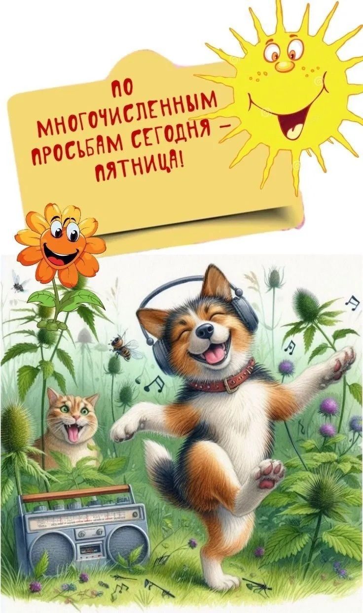 по многочисленным просьбам сегодня – пятница!