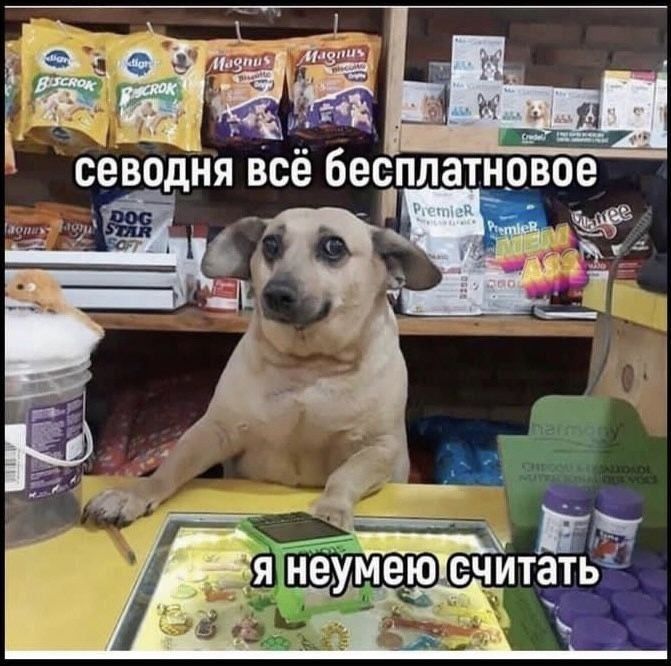 Сегодня всё бесплатное
Я не умею считать