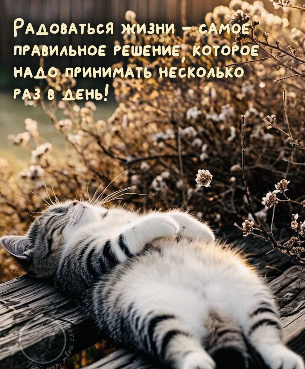 Радоваться жизни — самое правильное решение, которое надо принимать несколько раз в день!