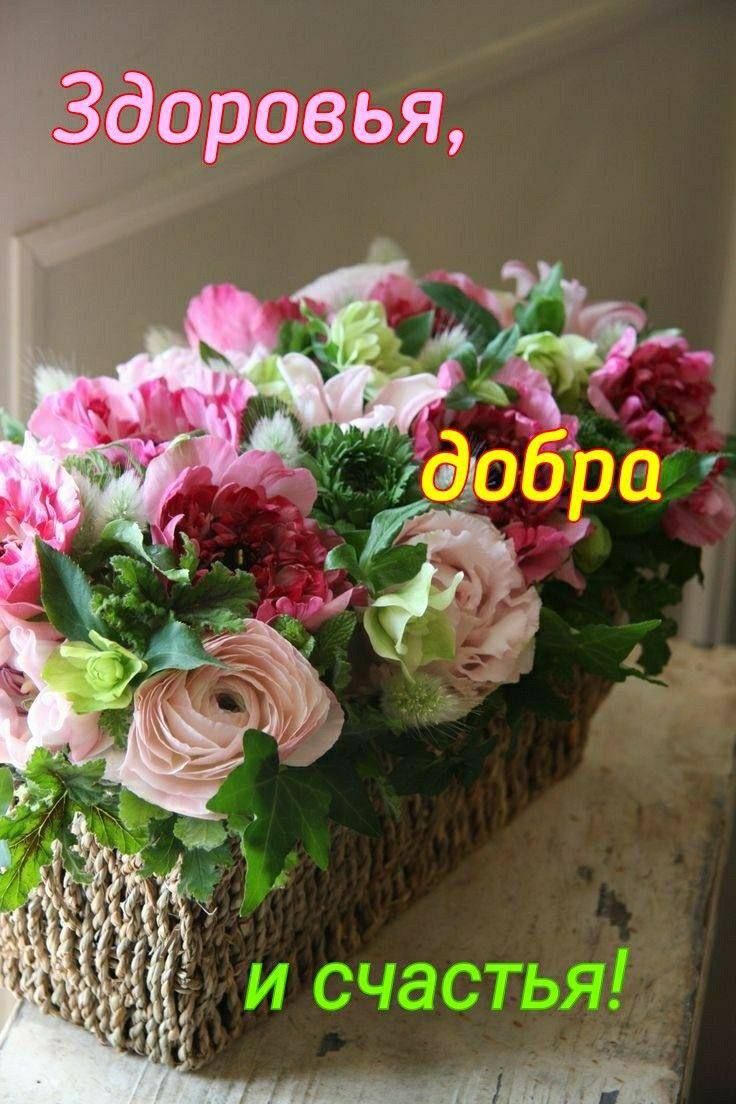 Здоровья, добра и счастья!