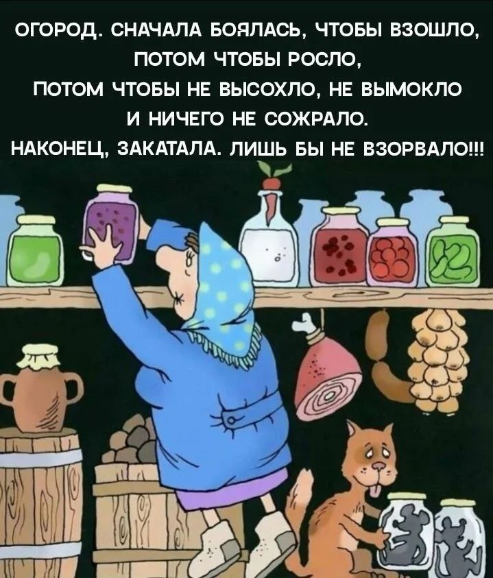 ОГОРОД. СНАЧАЛА БОЯЛАСЬ, ЧТОБЫ ВЗОШЛО, ПОТОМ ЧТОБЫ РОСЛО, ПОТОМ ЧТОБЫ НЕ ВЫСЫХОЛО, НЕ ВЫМОКЛО И НИЧЕГО НЕ СОЖРАЛО. НАКОНЕЦ, ЗАКАТАЛА. ЛИШЬ БЫ НЕ ВЗОРВАЛО!!!