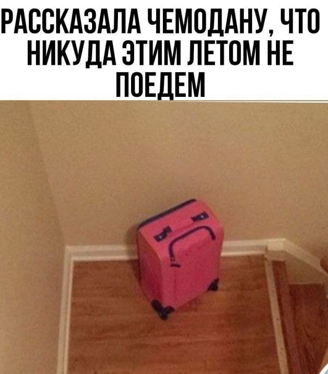 РАССКАЗАЛА ЧЕМОДАНУ, ЧТО НИКУДА ЭТИМ ЛЕТОМ НЕ ПОЕДЕМ