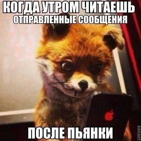 Когда утром читаешь отправленные сообщения после пьянки