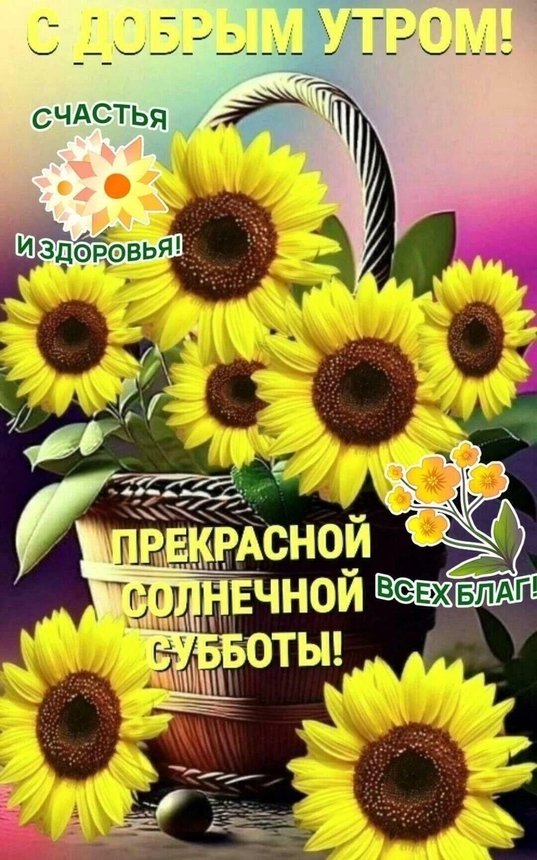 С ДОБРЫМ УТРОМ! СЧАСТЬЯ И ЗДОРОВЬЯ! ПРЕКРАСНОЙ СОЛНЕЧНОЙ СУББОТЫ! ВСЕХ БЛАГ!