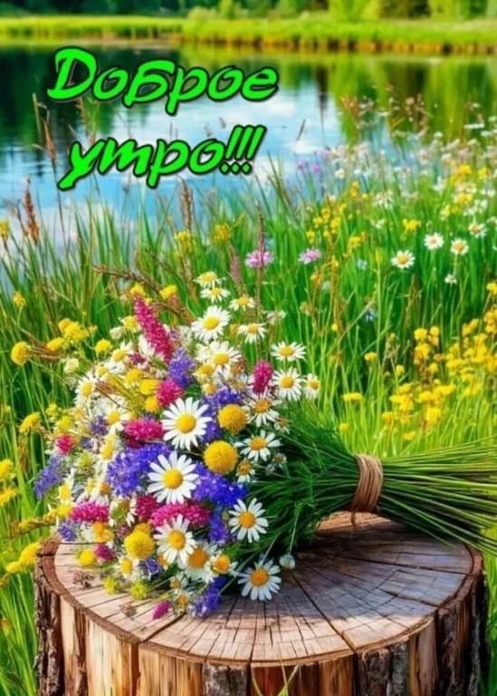 Доброе утро!!!