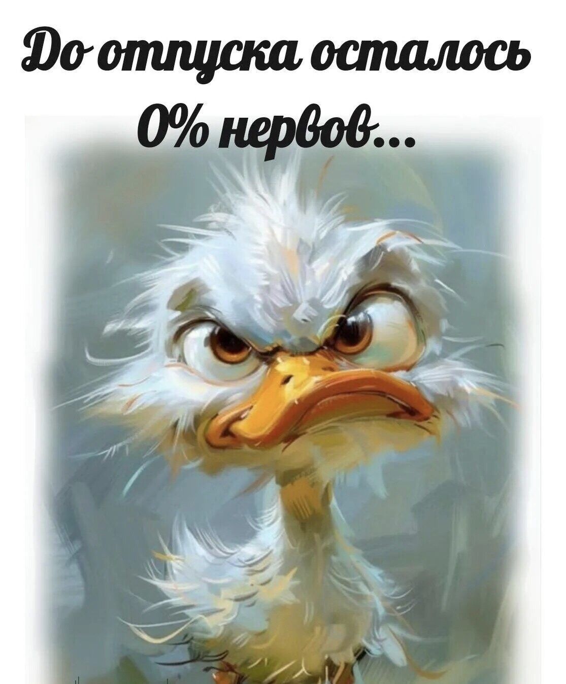 До отпуска осталось 0% нервов...