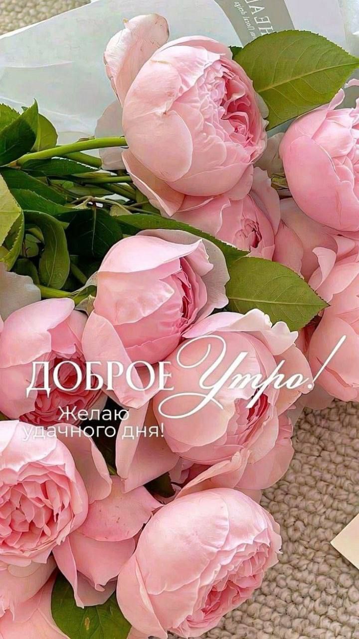 ДОБРОЕ Утро! Желаю удачного дня!