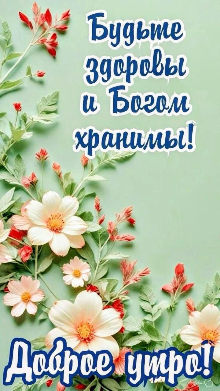 Будьте здоровы и Богом хранимы! Доброе утро!
