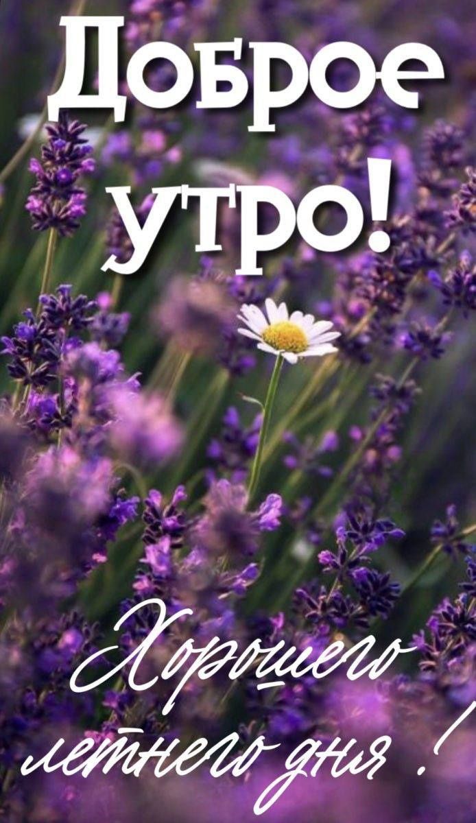 Доброе утро!
Хорошего летнего дня !