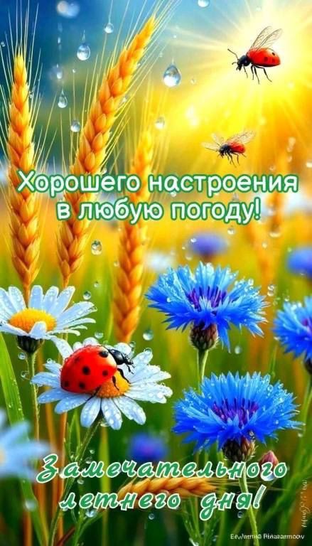 Хорошего настроения в любую погоду!
Замечательного летнего дня!