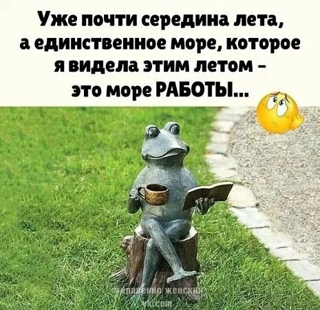 Уже почти середина лета, а единственное море, которое я видела этим летом – это море РАБОТЫ...