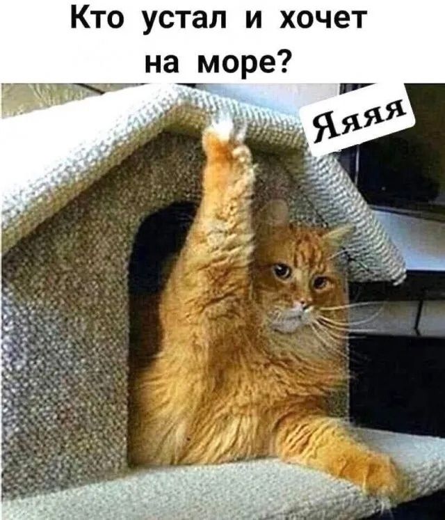 Кто устал и хочет на море? Яяяя