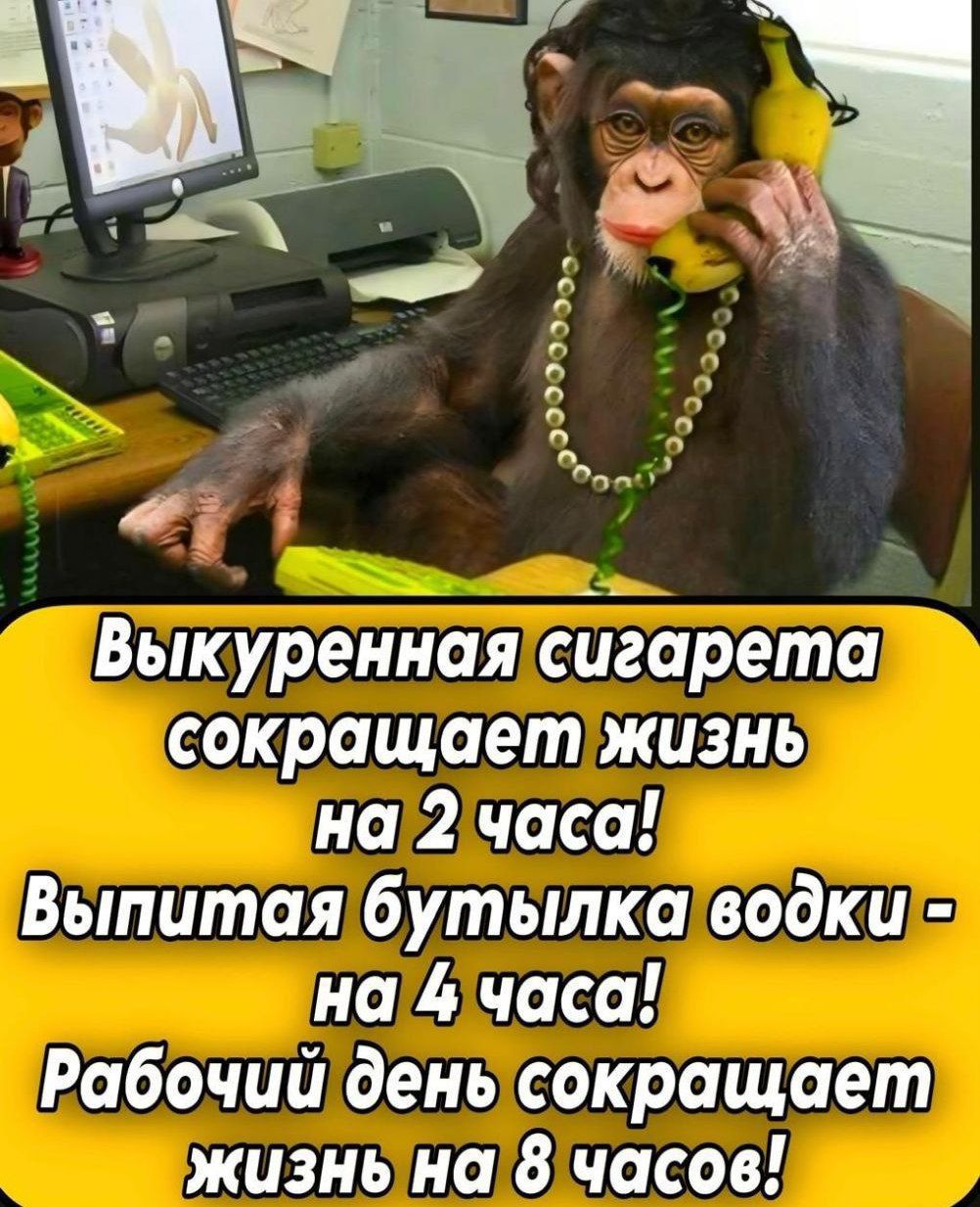 Выкуренная сигарета сокращает жизнь на 2 часа! Выпитая бутылка водки - на 4 часа! Рабочий день сокращает жизнь на 8 часов!