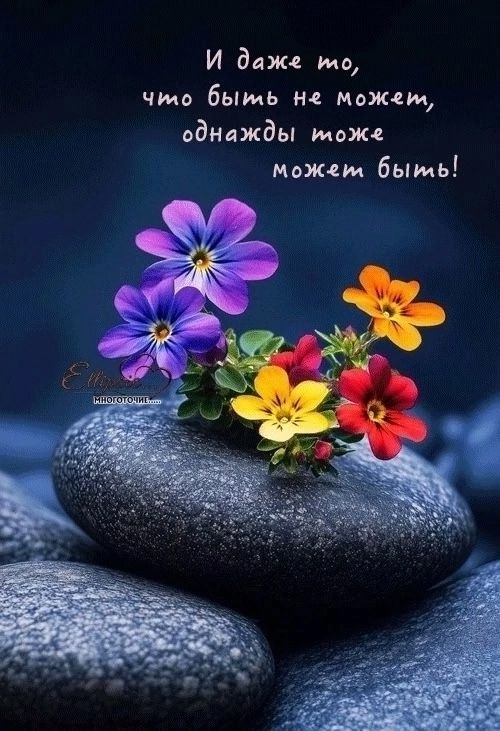 И даже то, что быть не может, однажды тоже может быть!