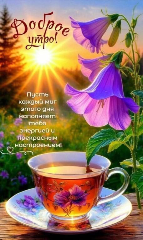 Доброе утро! Пусть каждый миг этого дня наполняет тебя энергией и прекрасным настроением!