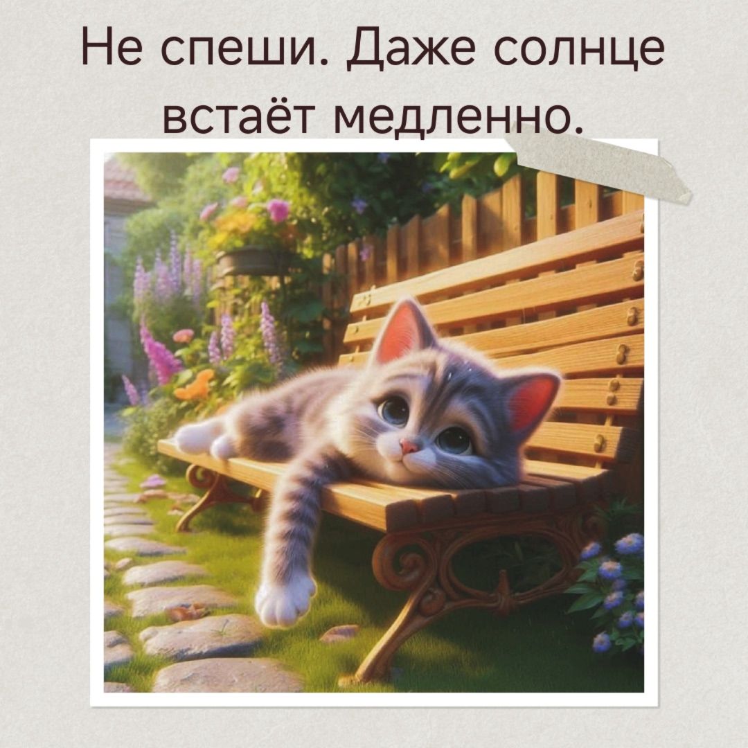Не спеши. Даже солнце встаёт медленно.