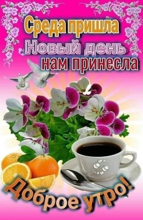 Среда пришла
Новый день нам принесла
Доброе утро!