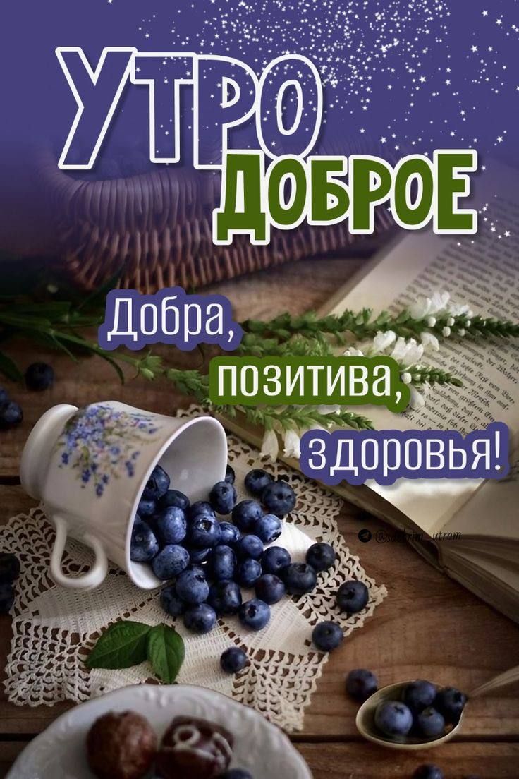 УТРО ДОБРОЕ
Добра, позитива, здоровья!