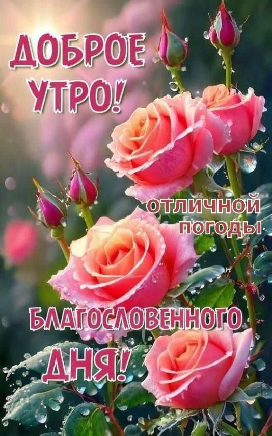 ДОБРОЕ УТРО! отличной погоды! благословенного ДНЯ!