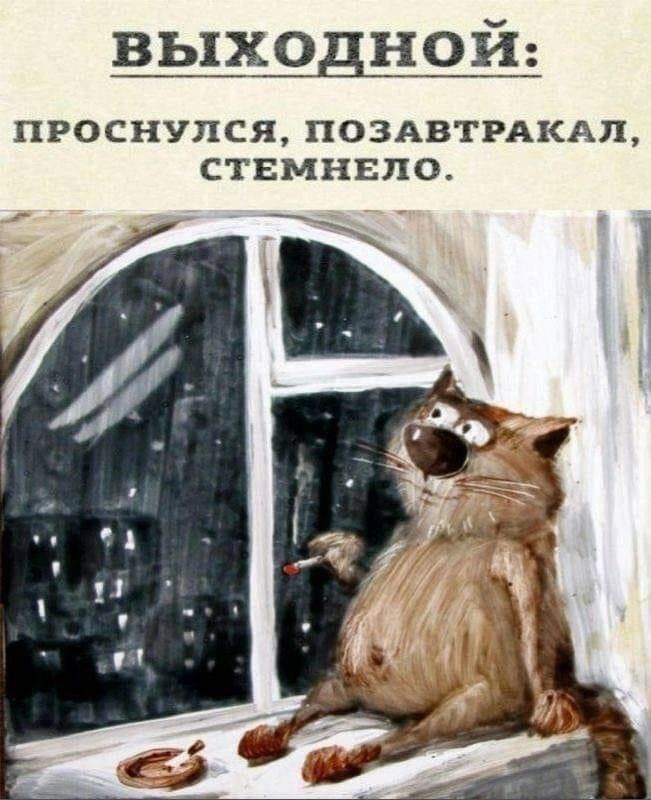 ВЫХОДНОЙ: ПРОСНУЛСЯ, ПОЗАВТРАКАЛ, СТЕМНЕLO.