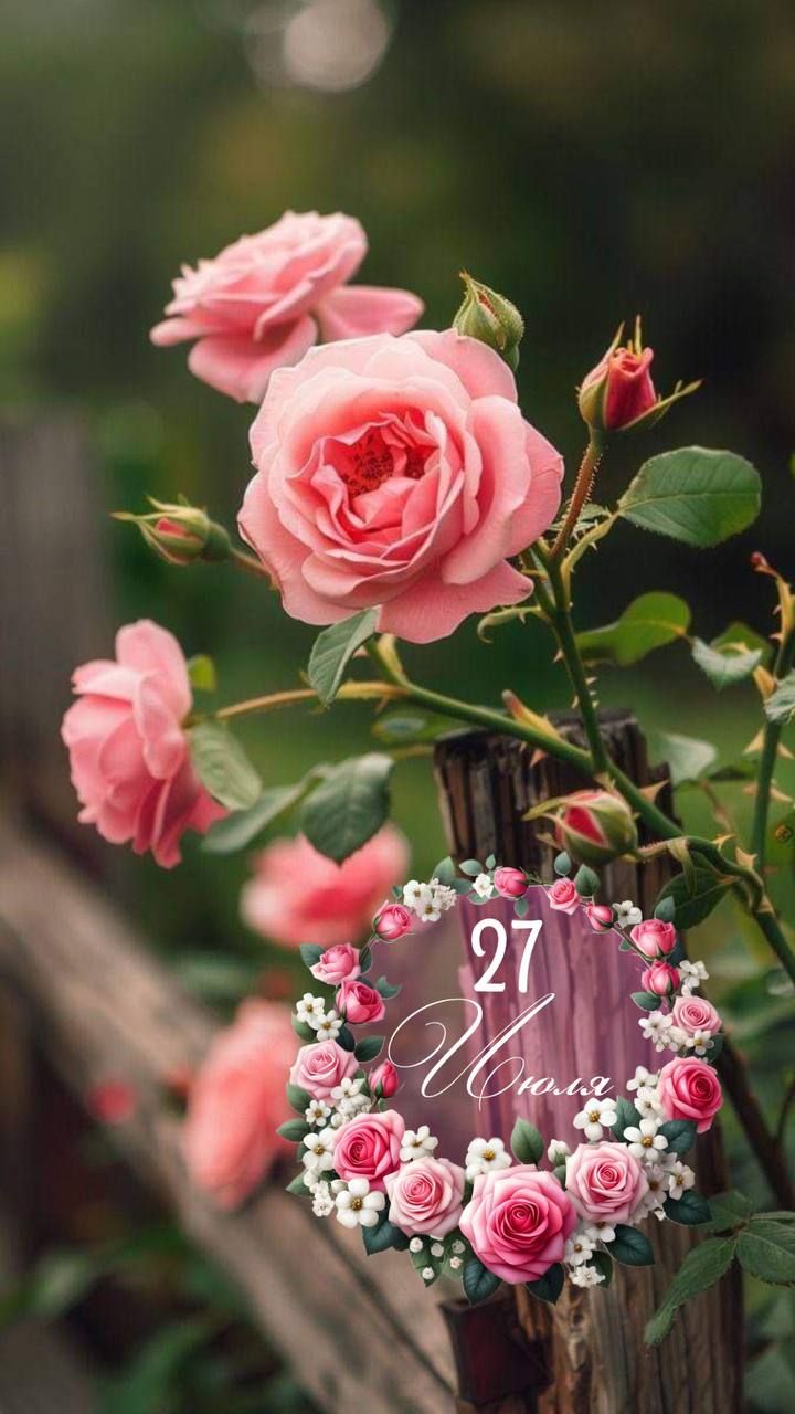 27 Июля