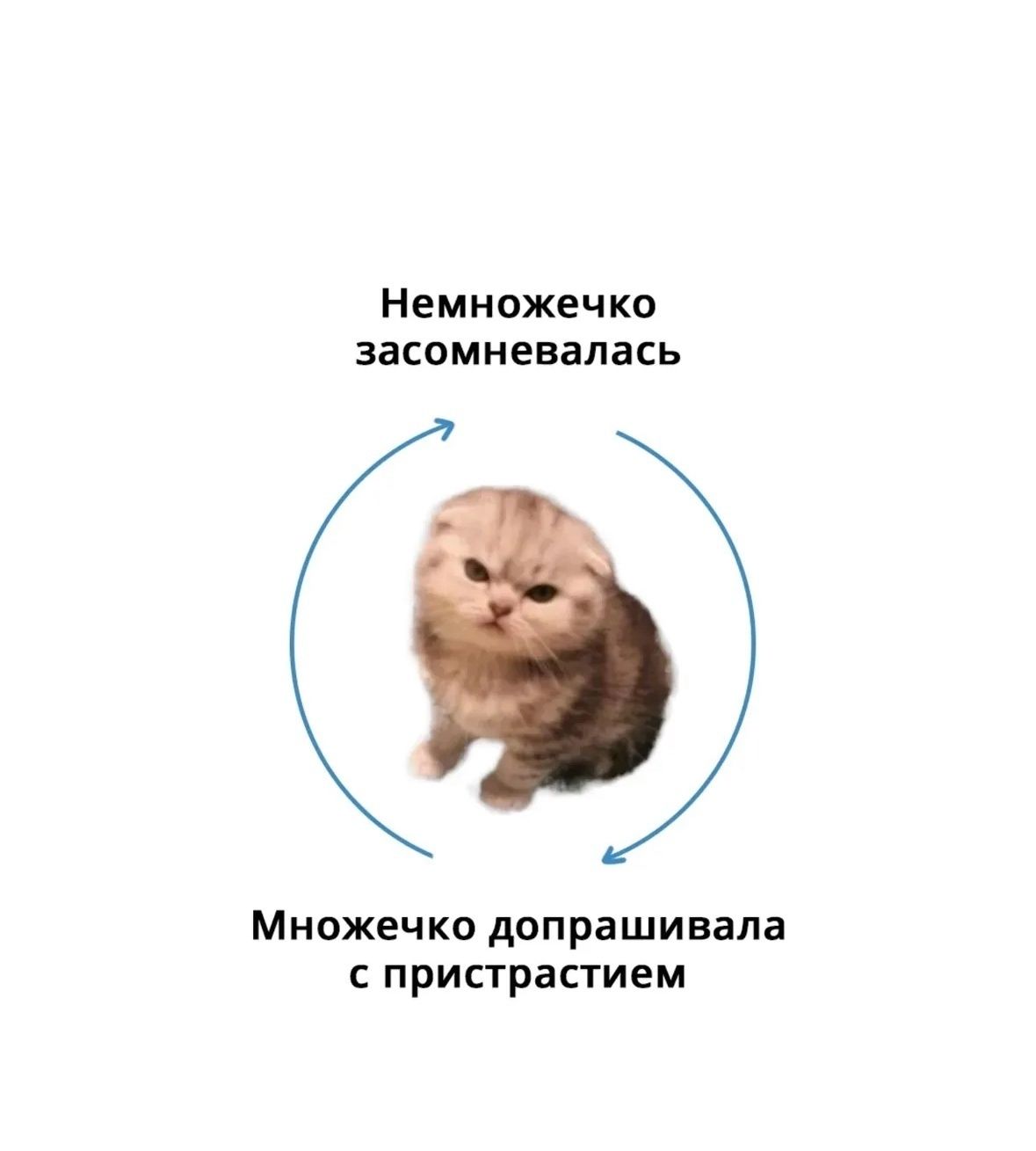 Немножечко засомневалась
Множечко допрашивала с пристрастием