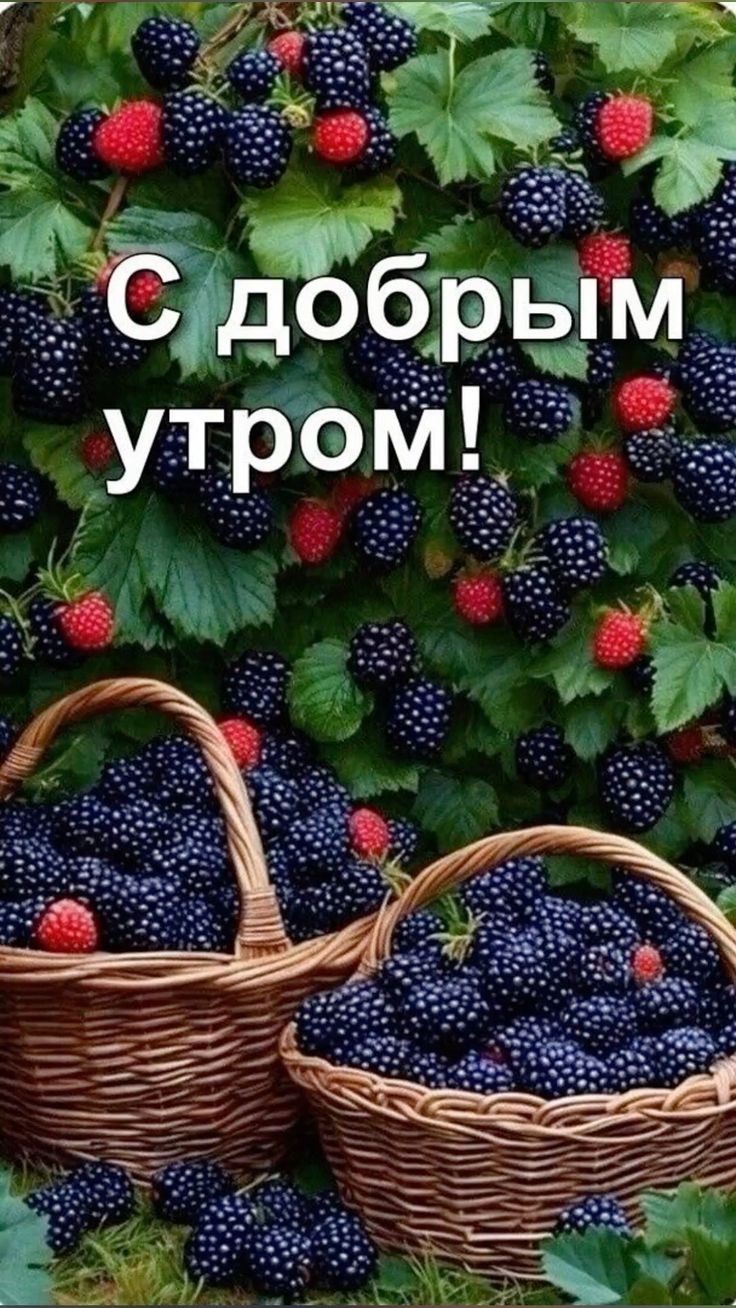 С добрым утром!