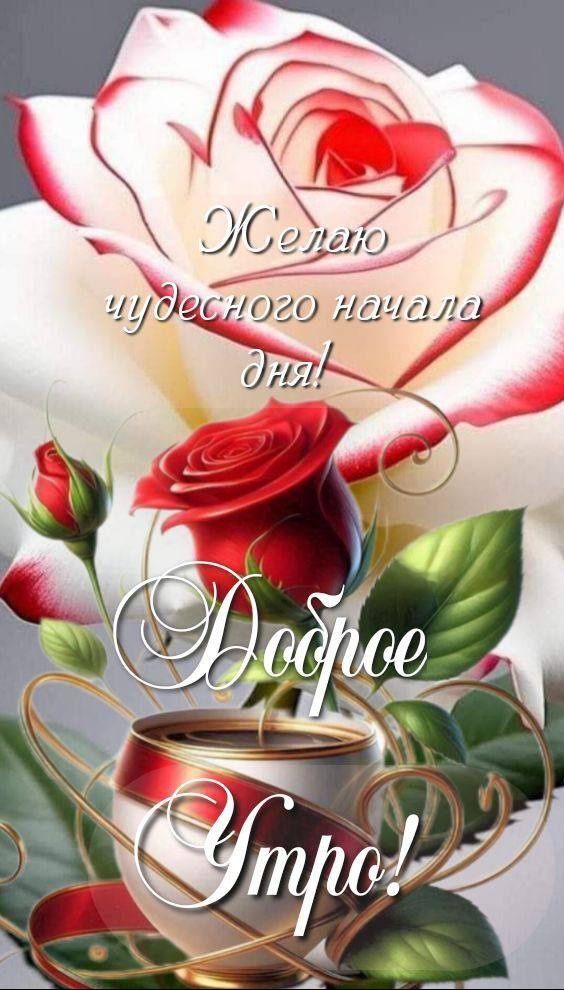 Желаю чудесного начала дня!
Доброе Утро!
