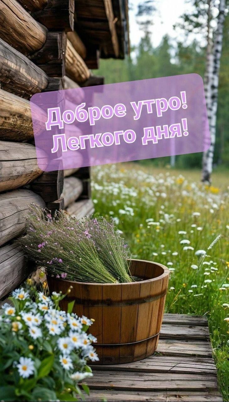 Доброе утро! Легкого дня!