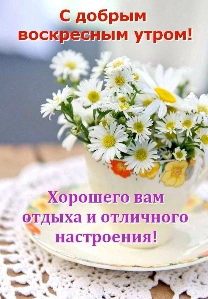 С добрым воскресным утром!
Хорошего вам отдыха и отличного настроения!