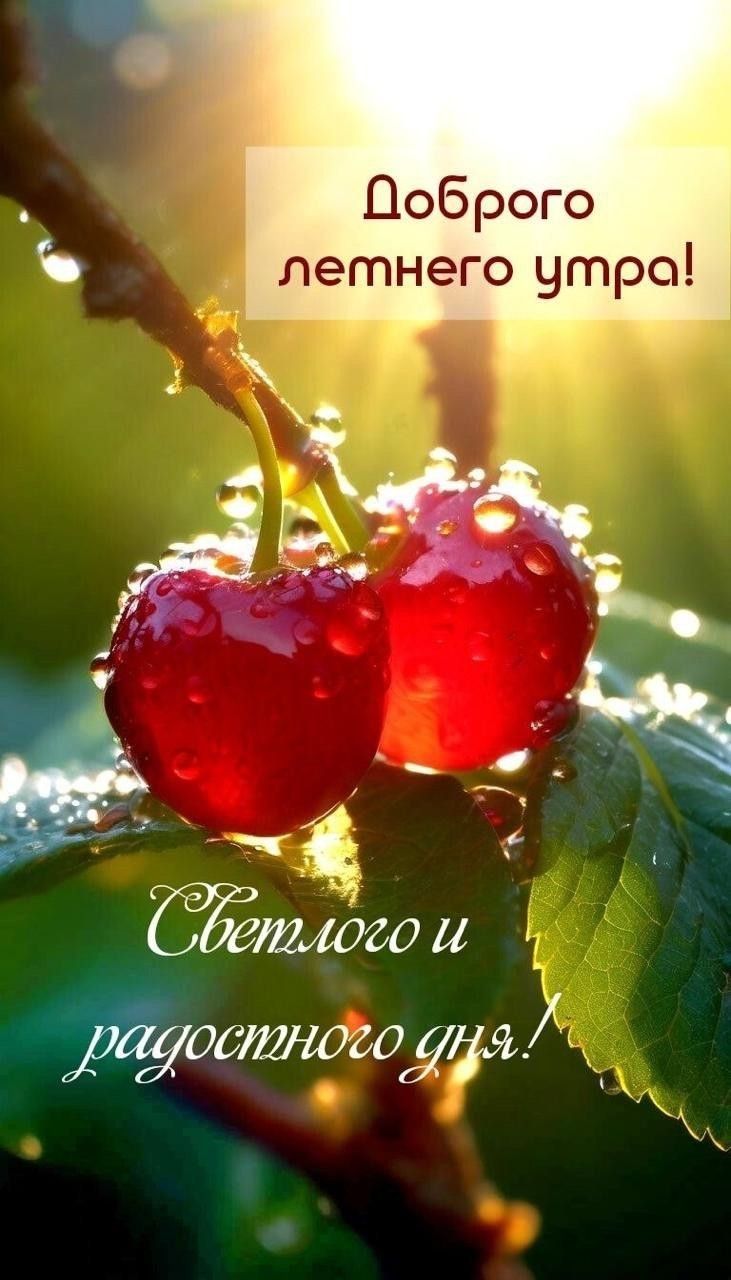 Доброе летнего утра! Светлого и радостного дня!