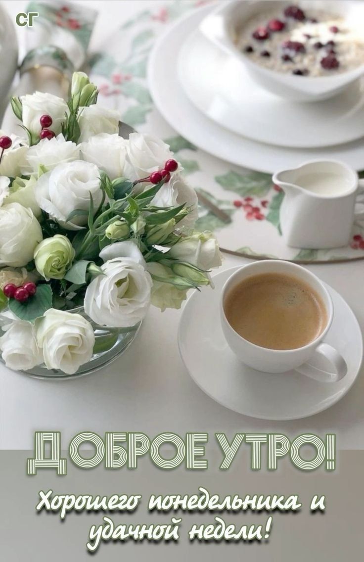 ДОБРОЕ УТРО! Хорошего понедельника и удачной недели!