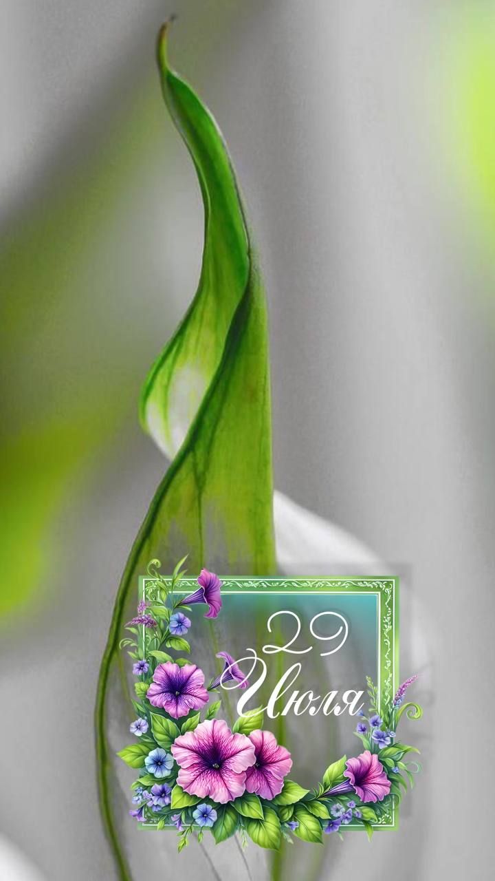 29 июля