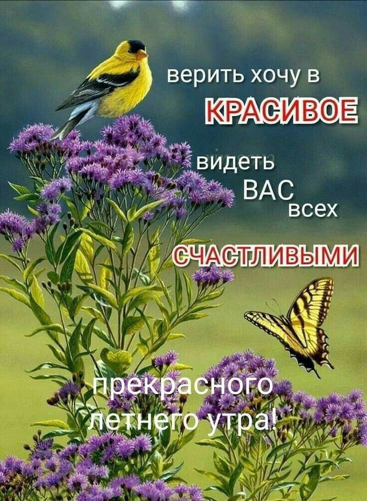 верить хочу в КРАСИВОЕ видеть ВАС всех СЧАСТЛИВЫМИ прекрасного летнего утра!
