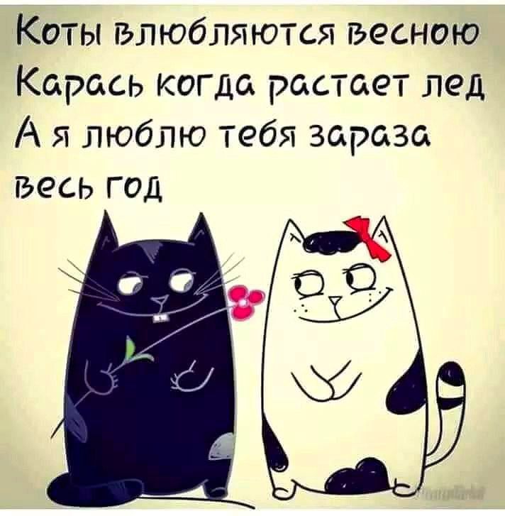 Коты влюбляются весной
Карась когда растает лед
А я люблю тебя зараза
весь год