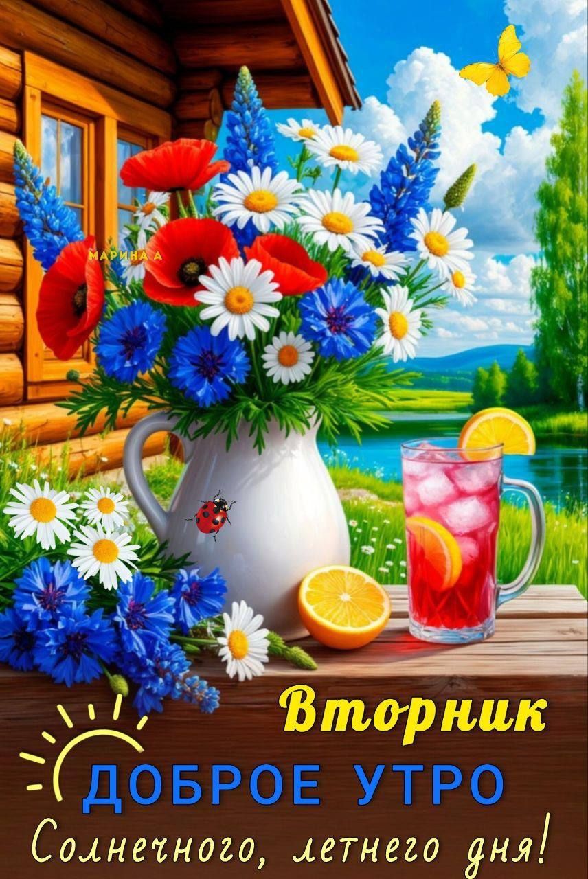 Вторник
ДОБРОЕ УТРО
Солнечного, летнего дня!
