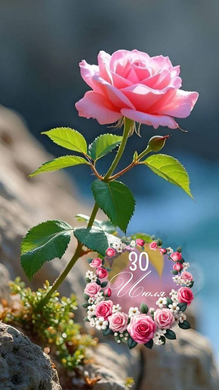 30 Июля